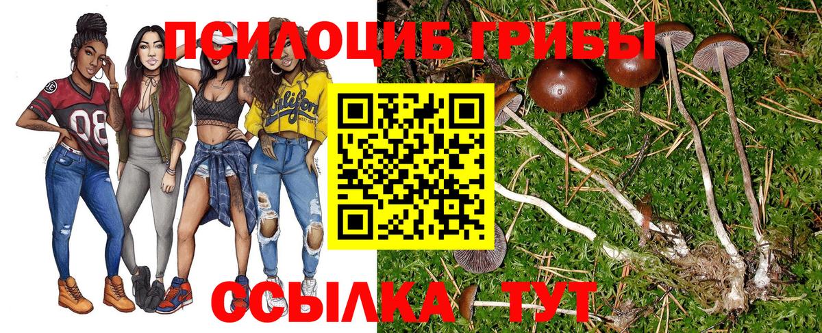 Галлюциногенные грибы Psilocybe  закладки  Казань  Вход с VPN 